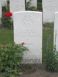 Strand Military Cemetery - Goose, G