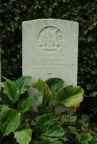Strand Military Cemetery - Mansfield, Arthur