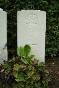 Strand Military Cemetery - Payne, Arthur John
