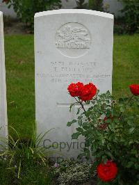 Strand Military Cemetery - Phillips, T
