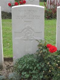Strand Military Cemetery - Wild, Jacob