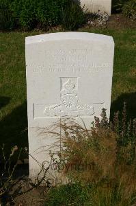 Dozinghem Military Cemetery - Mills, P
