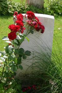 Dozinghem Military Cemetery - Webster, H