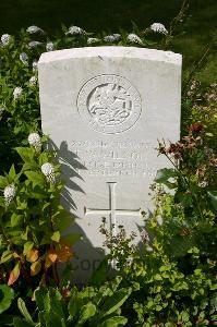 Dozinghem Military Cemetery - Wilson, T W
