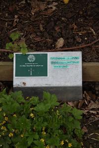 Poperinghe New Military Cemetery - Crowe, F J A