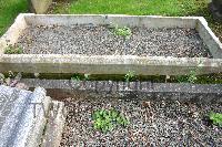 Coventry (London Road) Cemetery - Molesworth, Alfred