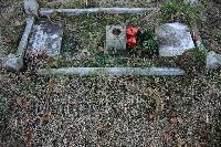 Erdington (St. Barnabas) Churchyard - Garland, Walter Harry
