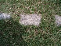 Toronto (Mount Hope) Cemetery - Grey, A