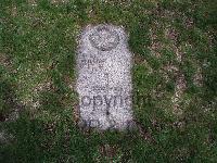 Toronto (Mount Hope) Cemetery - James, William