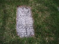 Toronto (Mount Hope) Cemetery - McDonald, William