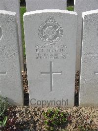 Bailleul Communal Cemetery Extension (Nord) - Higgins, D E