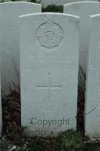 Bailleul Communal Cemetery Extension (Nord) - Pringle, Adam