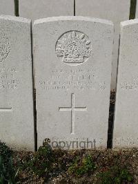 Bailleul Communal Cemetery Extension (Nord) - Rafferty, Roy
