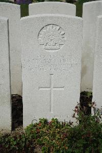 Bailleul Communal Cemetery Extension (Nord) - Riedel, John Bert