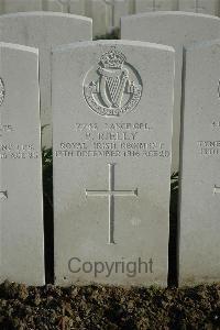 Bailleul Communal Cemetery Extension (Nord) - Rielly, Patrick