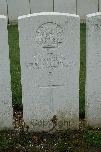 Bailleul Communal Cemetery Extension (Nord) - Riseley, A E