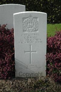 Bailleul Communal Cemetery Extension (Nord) - Rose, C D