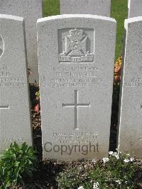 Bailleul Communal Cemetery Extension (Nord) - Tugwell, Harry