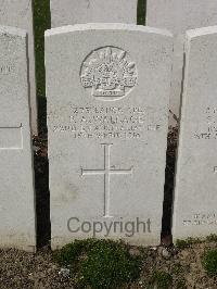 Bailleul Communal Cemetery Extension (Nord) - Wallace, P A