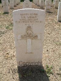 Heliopolis War Cemetery - Gibson, Francis Melville