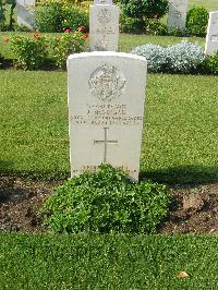 Heliopolis War Cemetery - McGuigan, James (Jimmy)