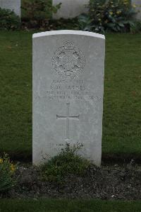 Philosophe British Cemetery Mazingarbe - Barnes, F D