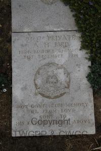 Wimereux Communal Cemetery - Bird, Albert Henry