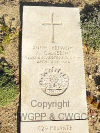 Wimereux Communal Cemetery - Cameron, Alexander