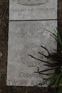 Wimereux Communal Cemetery - Fawkes, Robert