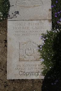 Wimereux Communal Cemetery - Gambie, Horace