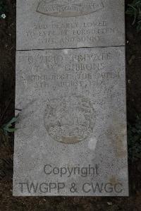 Wimereux Communal Cemetery - Gibbons, T W
