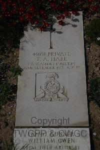 Wimereux Communal Cemetery - Hare, Thomas Albert