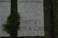 Wimereux Communal Cemetery - Hammer, Karl