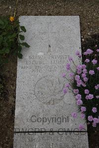 Wimereux Communal Cemetery - Loiseau, Eseube