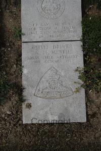 Wimereux Communal Cemetery - Merrie, Andrew Hodge