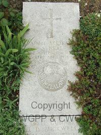 Wimereux Communal Cemetery - Neal, Alfred