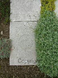 Wimereux Communal Cemetery - Nicholson, Mark