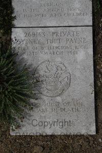 Wimereux Communal Cemetery - Payne, Sydney Turt