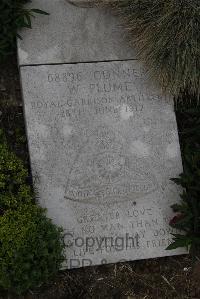 Wimereux Communal Cemetery - Plume, William
