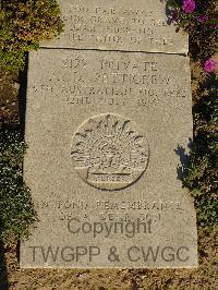 Wimereux Communal Cemetery - Pettigrew, Archibald Douglas