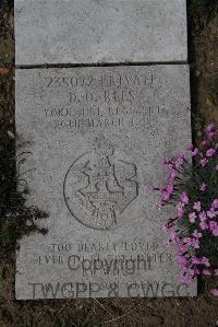 Wimereux Communal Cemetery - Rees, Daniel Oscar