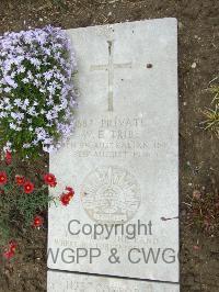 Wimereux Communal Cemetery - Tribe, William Edward