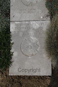 Wimereux Communal Cemetery - Williamson, Alexander