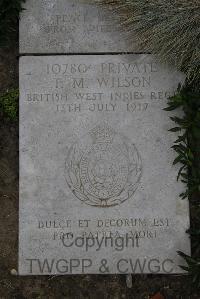 Wimereux Communal Cemetery - Wilson, Thomas Matthew