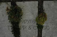 Wimereux Communal Cemetery - Wursch, Karl