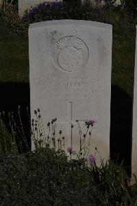 Terlincthun British Cemetery Wimille - Steele, P