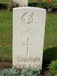 Naples War Cemetery - Bradley, Daniel Christopher