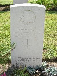 Naples War Cemetery - Haller, Harold