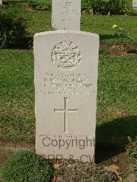 Naples War Cemetery - Montgomery, David