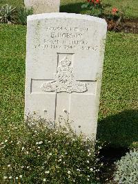 Naples War Cemetery - Robson, Ernest